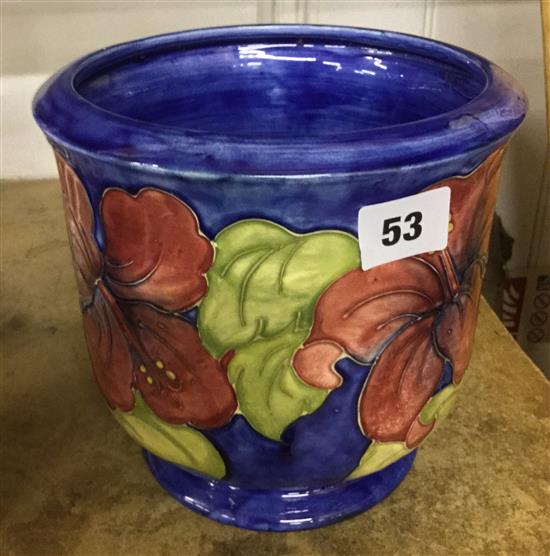 Moorcroft lily pattern jardiniere